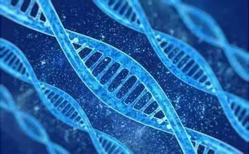 dna亲子鉴定需要什么手续 十堰哪里可以做亲子鉴定.webp.jpg