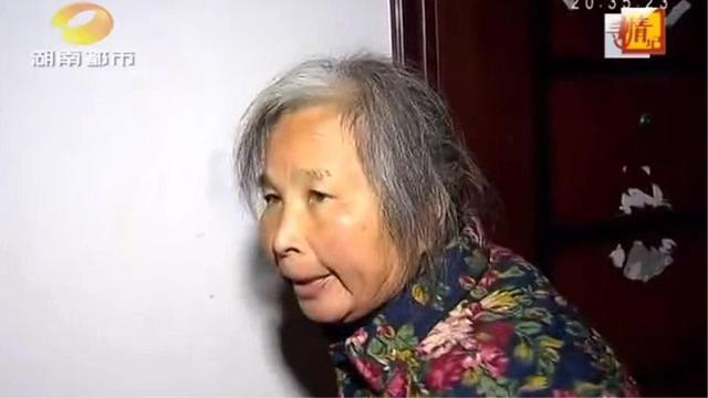 百万亲子鉴定寻情记